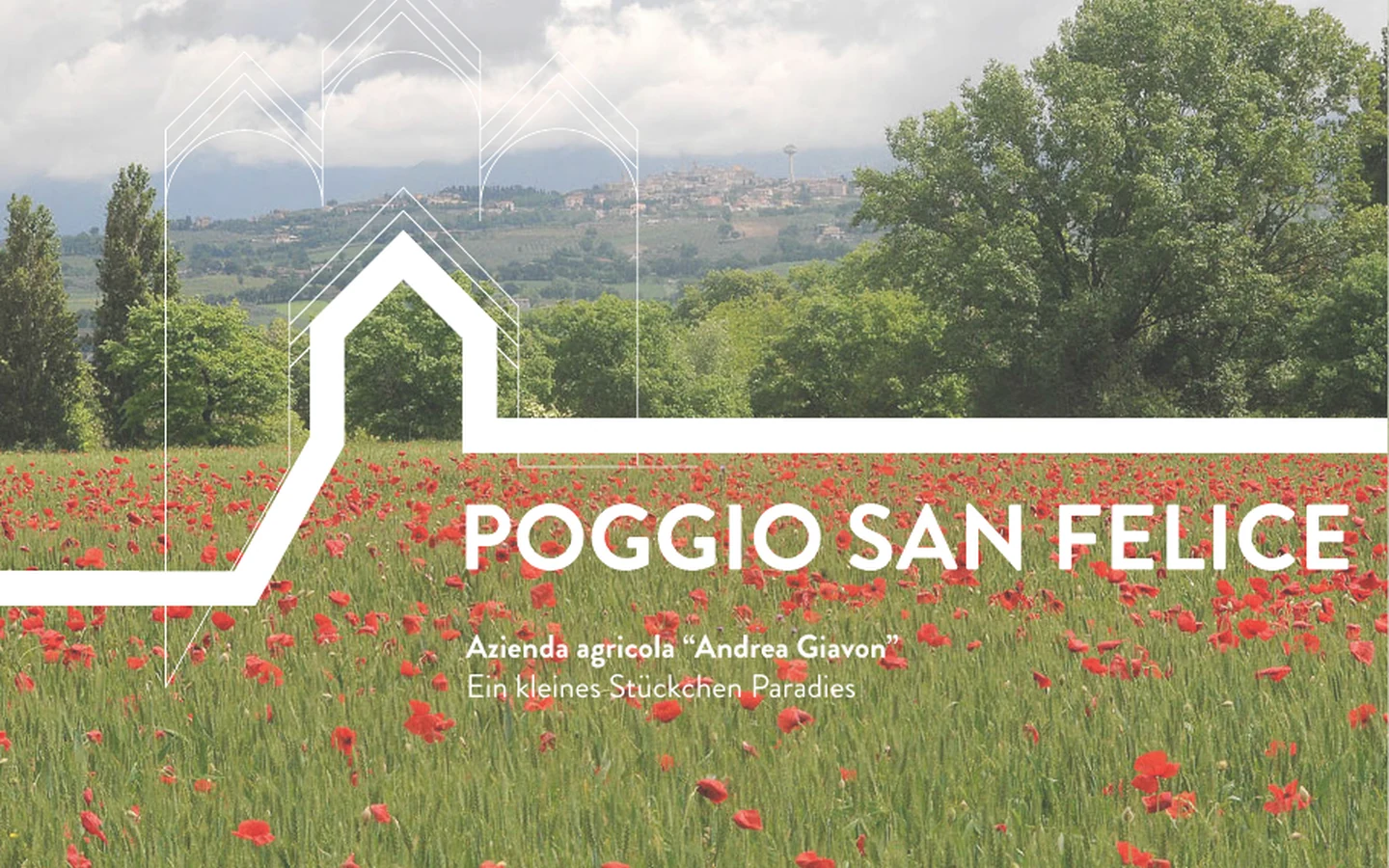 Paesaggio agricolo italiano tra colline e uliveti
